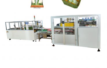 automatic bag carton case packer machine