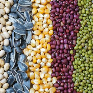 Automatic seeds packaging machine